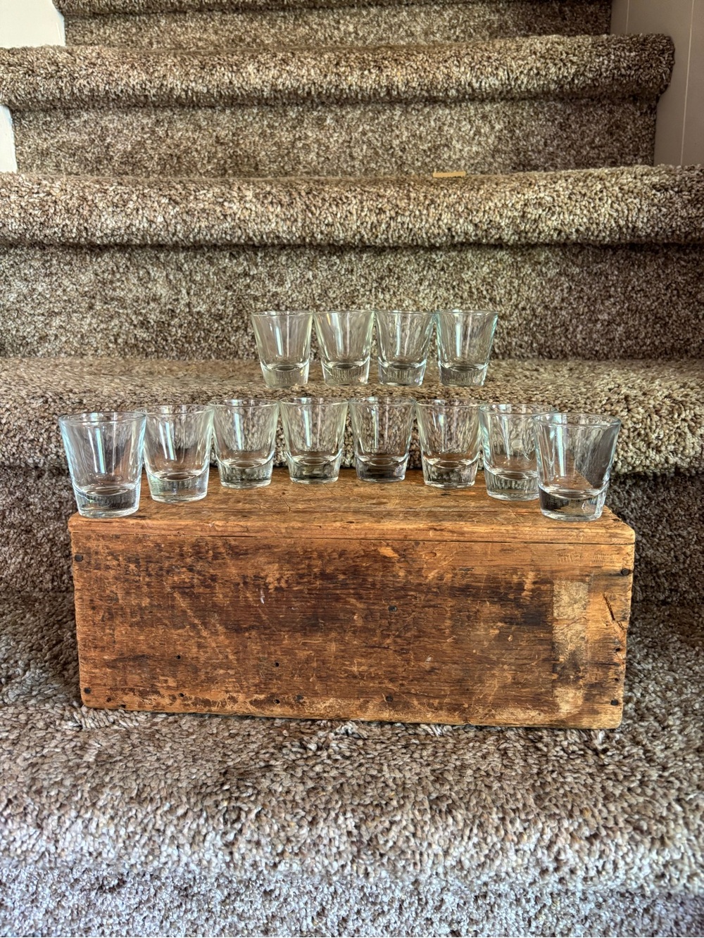 Clear Glass Shot Glasses - Set of 12